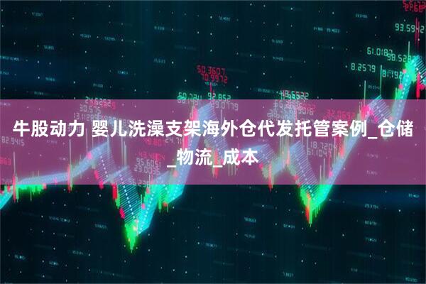 牛股动力 婴儿洗澡支架海外仓代发托管案例_仓储_物流_成本