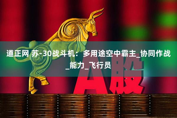 道正网 苏-30战斗机：多用途空中霸主_协同作战_能力_飞行员