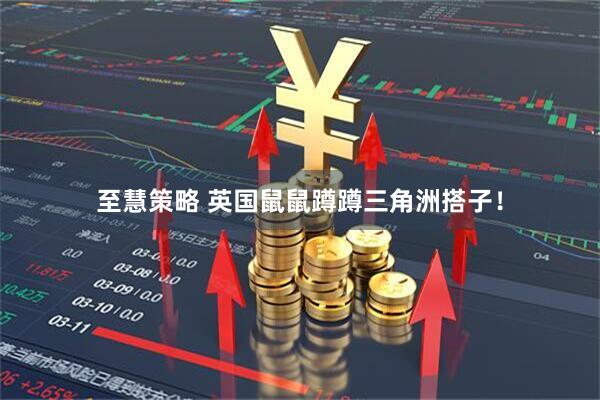 至慧策略 英国鼠鼠蹲蹲三角洲搭子！